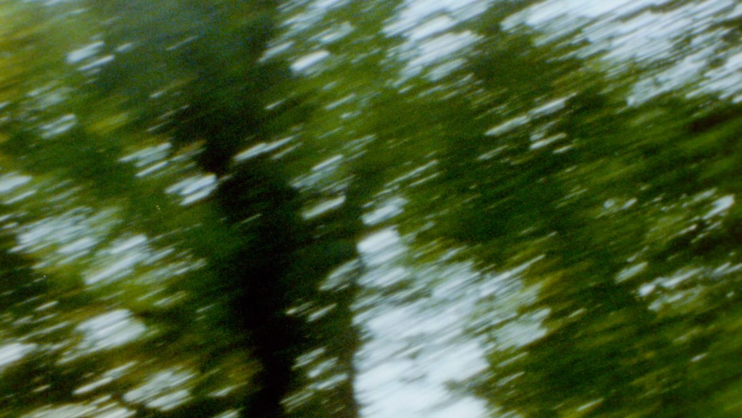 Textured moment from Kinward's Tree Super 8 film